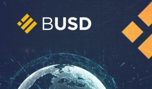 BUSD Coin Yorum 2022