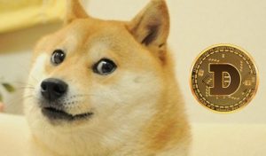 What is loss dogecoin