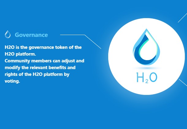 What is H2O Coin