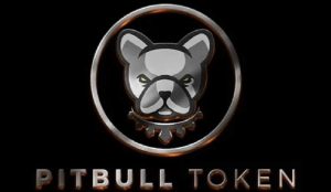 Pitbull Token Fiyat Tahmini