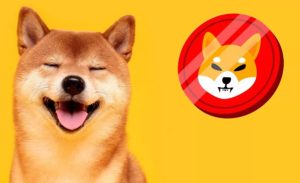 Shiba Inu Fiyat Tahmini