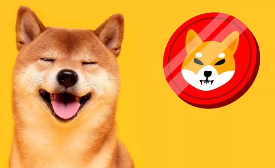 Shiba Inu Fiyat Tahmini
