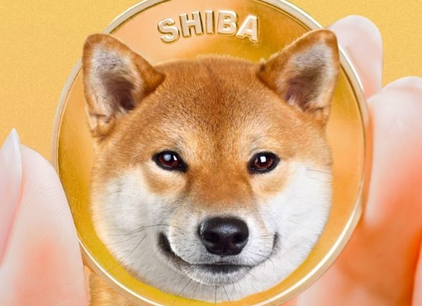Shiba Inu Yorum 2022