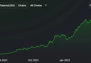 Luna Coin Yorum 2022