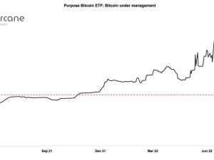 CoinShares Akılları Allak Bullak Eden Bitcoin Raporu Yayınladı: "Büyük Çıkışlar"