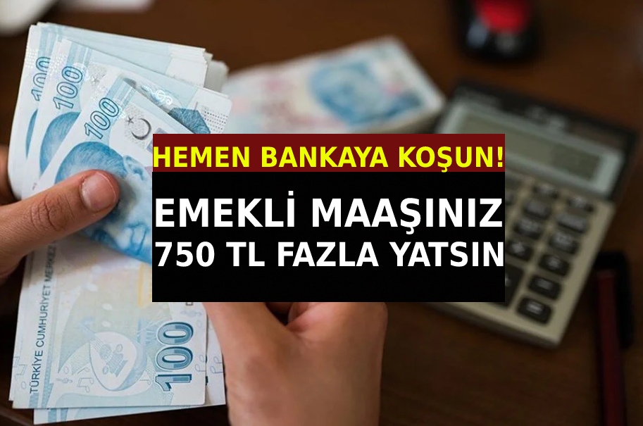 Tüm Emeklilere 750 Lira Ödeme Fırsatı: Sadece Başvurmanız Yeterli!