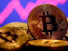 CNBC, Bitcoin İçin O Tarihi İşaret Etti. Yeni Bir Boğa Gelecek