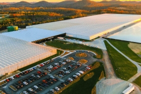 Teknoloji devi iflas başvurusu yaptı. Ödenemeyen borçlar bel büktü