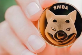 100 dolar Shiba Inu yatırımı yapsaydınız bugün size ne kadar kazandırırdı? 14 100 dolar Shiba Inu yatırımı yapsaydınız bugün size ne kadar kazandırırdı?