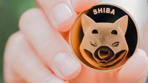 100 dolar Shiba Inu yatırımı yapsaydınız bugün size ne kadar kazandırırdı?